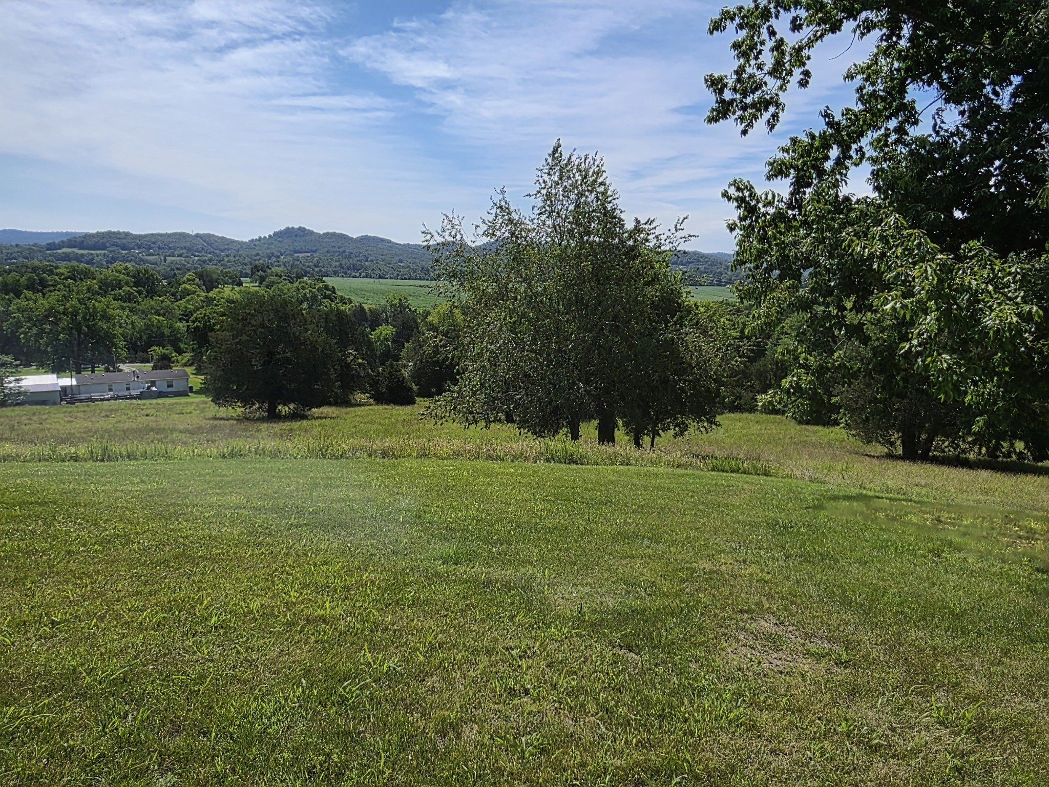 4 Lewis James Lane Riddleton, TN 37151 - Photo 49 of 62