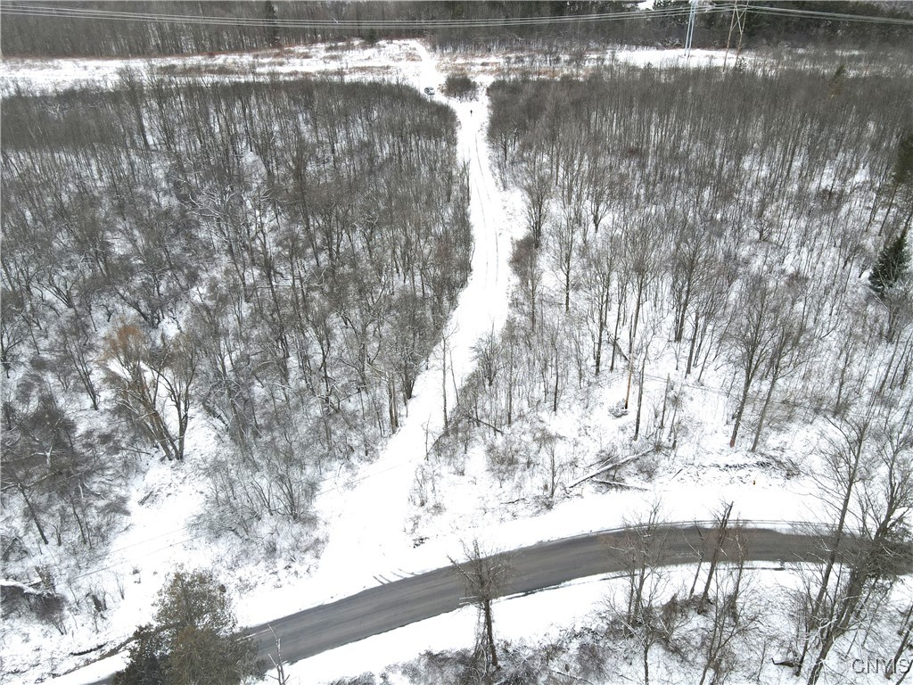 Clark Hollow Road La Fayette, NY 13084 - Photo 11 of 14