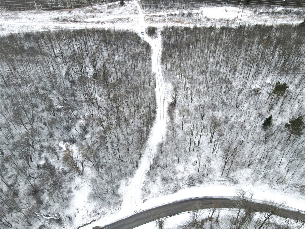 Clark Hollow Road La Fayette, NY 13084 - Photo 12 of 14