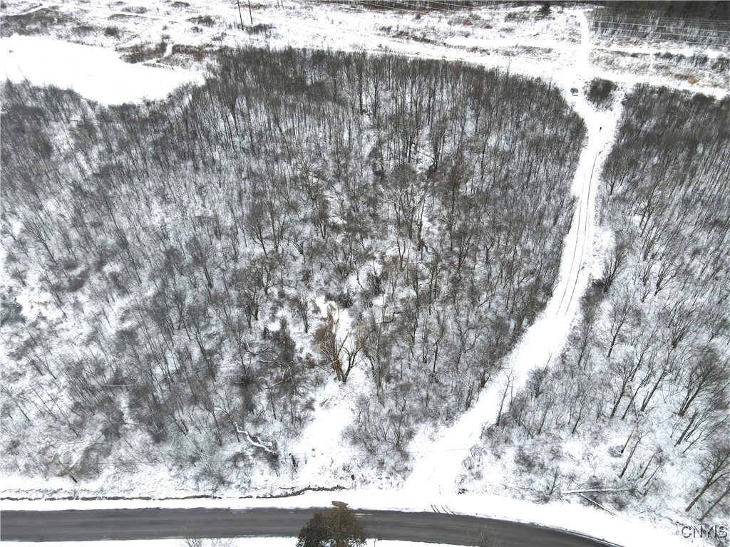 Clark Hollow Road La Fayette, NY 13084 - Photo 13 of 14