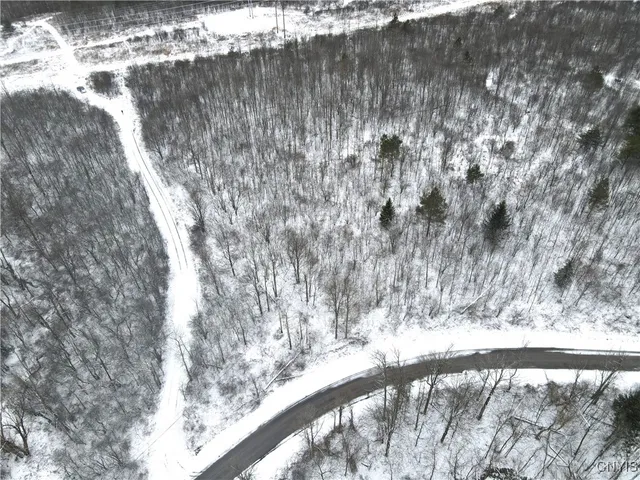 $59,900 | Clark Hollow Road, La Fayette, NY 13084