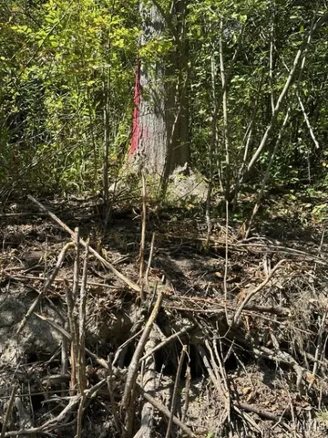 $59,900 | Clark Hollow Road, La Fayette, NY 13084