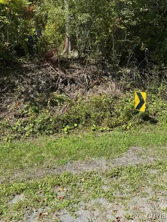$59,900 | Clark Hollow Road, La Fayette, NY 13084