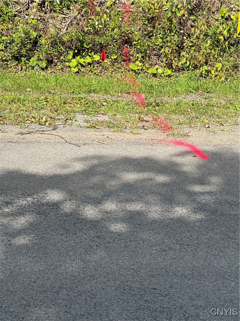 Clark Hollow Road La Fayette, NY 13084 - Photo 4 of 14