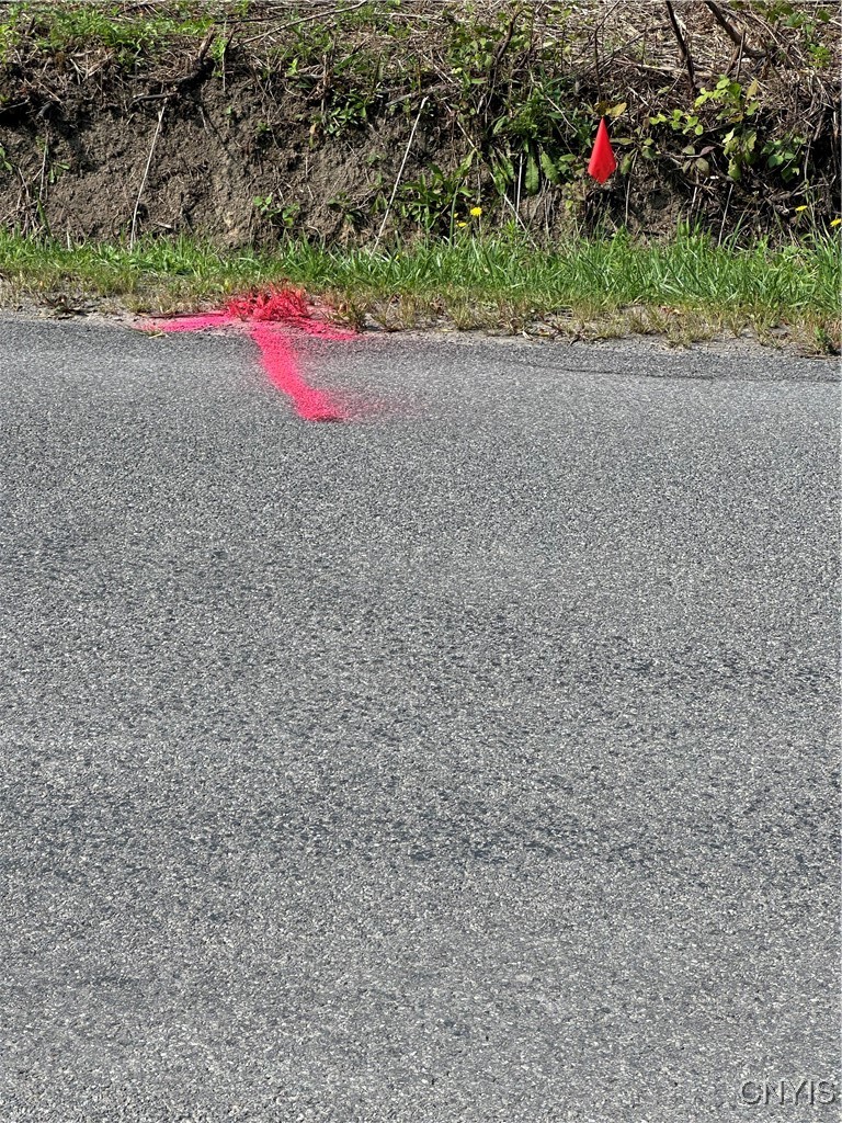 Clark Hollow Road La Fayette, NY 13084 - Photo 5 of 14