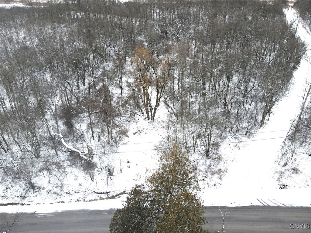 Clark Hollow Road La Fayette, NY 13084 - Photo 6 of 14