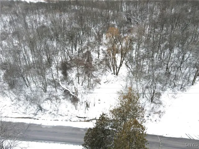 $59,900 | Clark Hollow Road, La Fayette, NY 13084