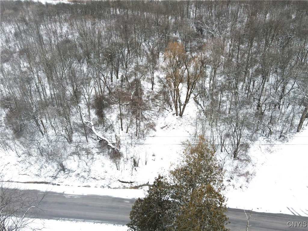 Clark Hollow Road La Fayette, NY 13084 - Photo 7 of 14