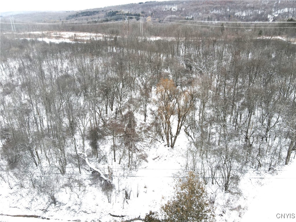 Clark Hollow Road La Fayette, NY 13084 - Photo 8 of 14