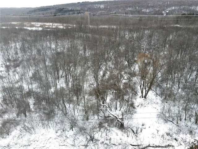 $59,900 | Clark Hollow Road, La Fayette, NY 13084