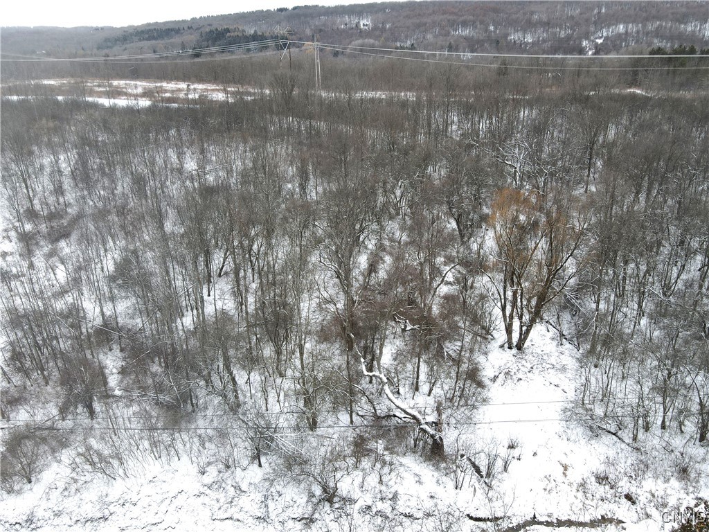 Clark Hollow Road La Fayette, NY 13084 - Photo 9 of 14