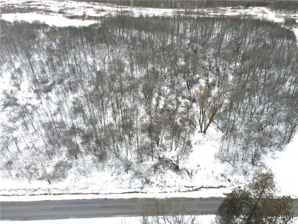 Clark Hollow Road La Fayette, NY 13084 - Photo 10 of 14