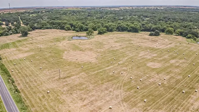 a view of a dry yard with wooden fence