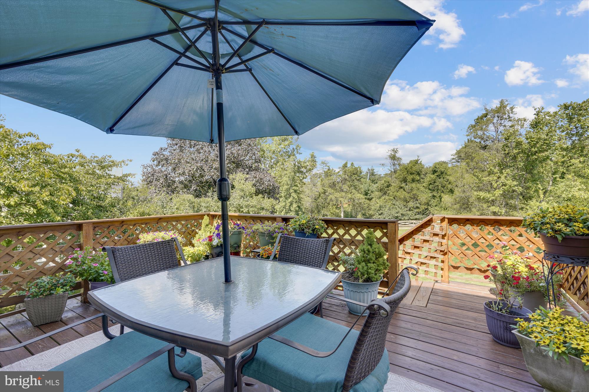 1137 Bandy Run Road Herndon, VA 20170 - Photo 30 of 42 Deck overlooks expansive rear yard