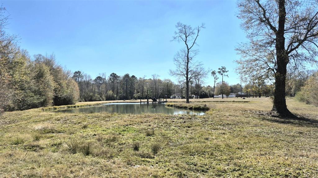 291 Spruce Street Kinder, LA 70648 - Photo 4 of 6