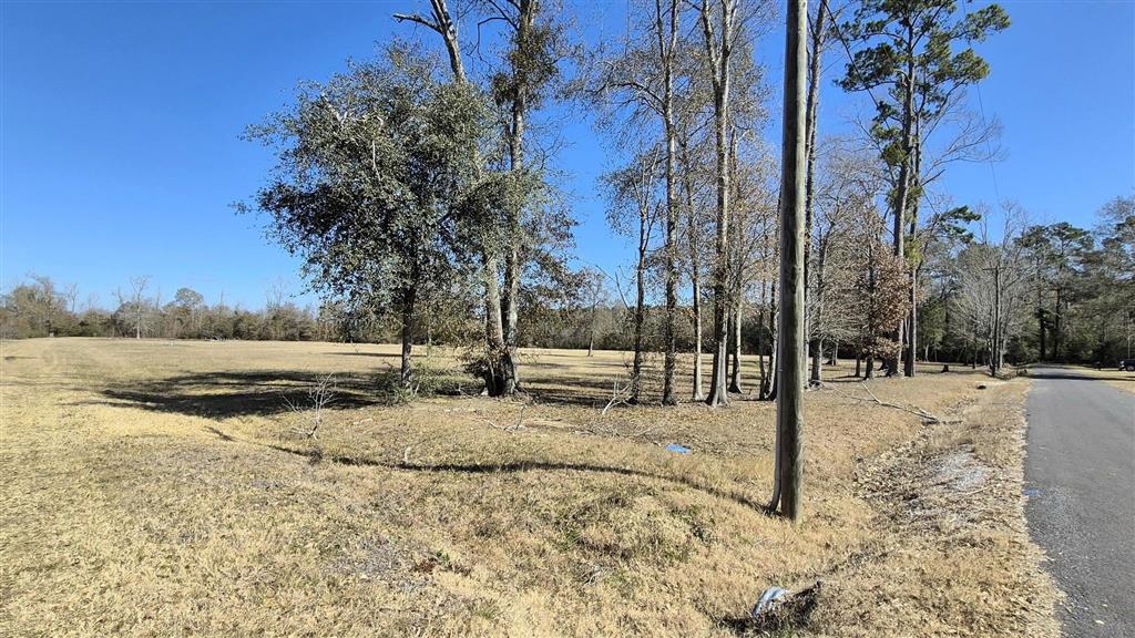 291 Spruce Street Kinder, LA 70648 - Photo 5 of 6