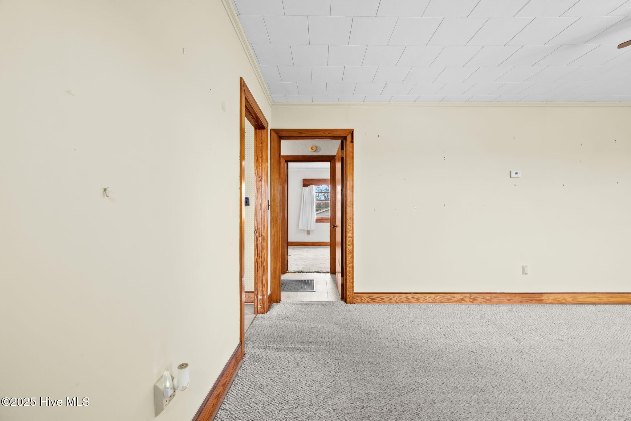 1100 Ben Smith Road Siler City, NC 27344 - Photo 15 of 66 8-web-or-mls-6S5A1632