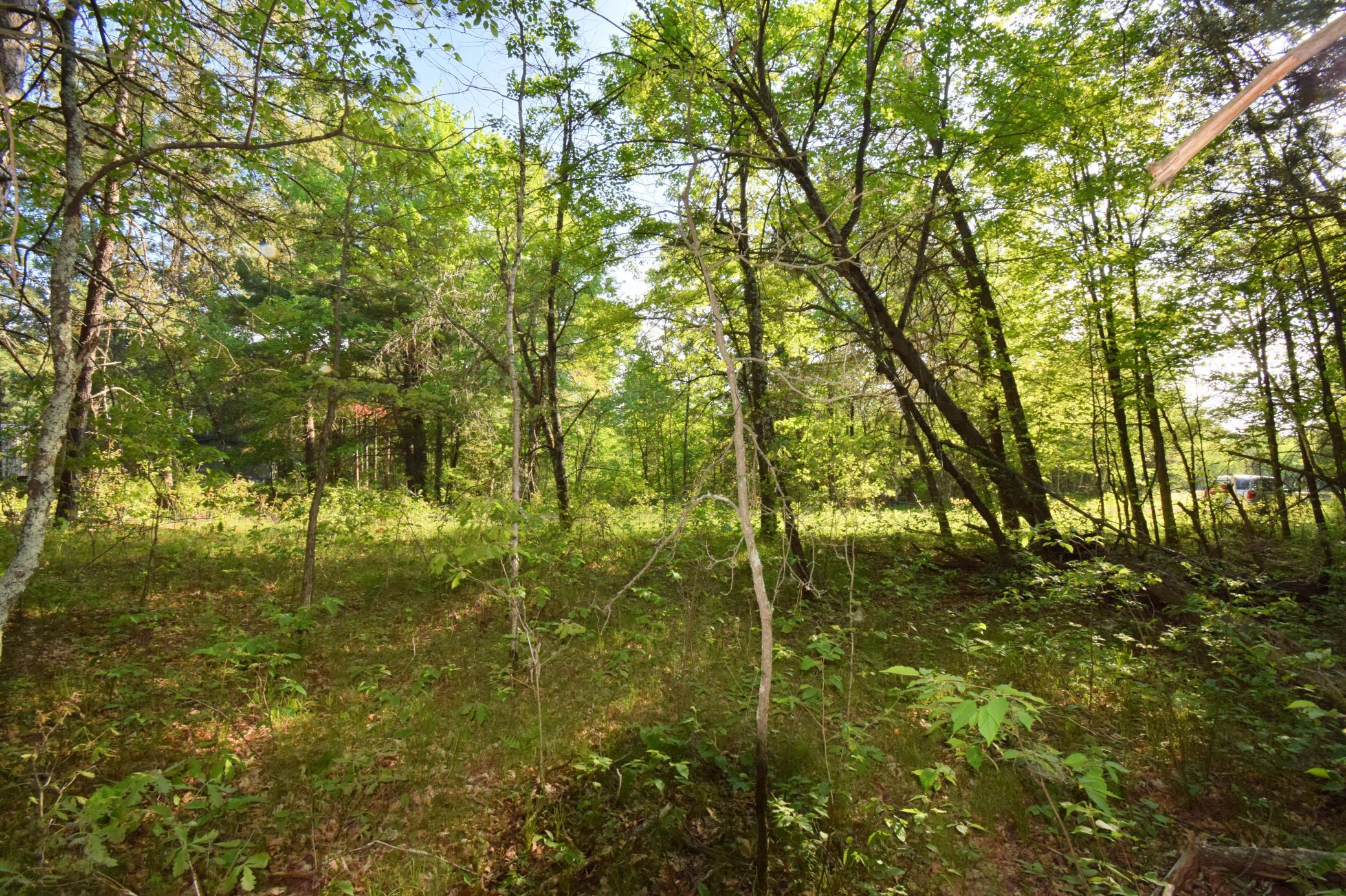 Lot 31 Setting Sun Trail Way Danbury, WI 54830 - Photo 11 of 19