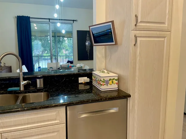 a kitchen with a sink and a potted plant