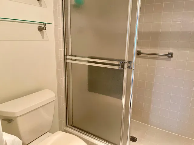 a bathroom with a toilet and a shower