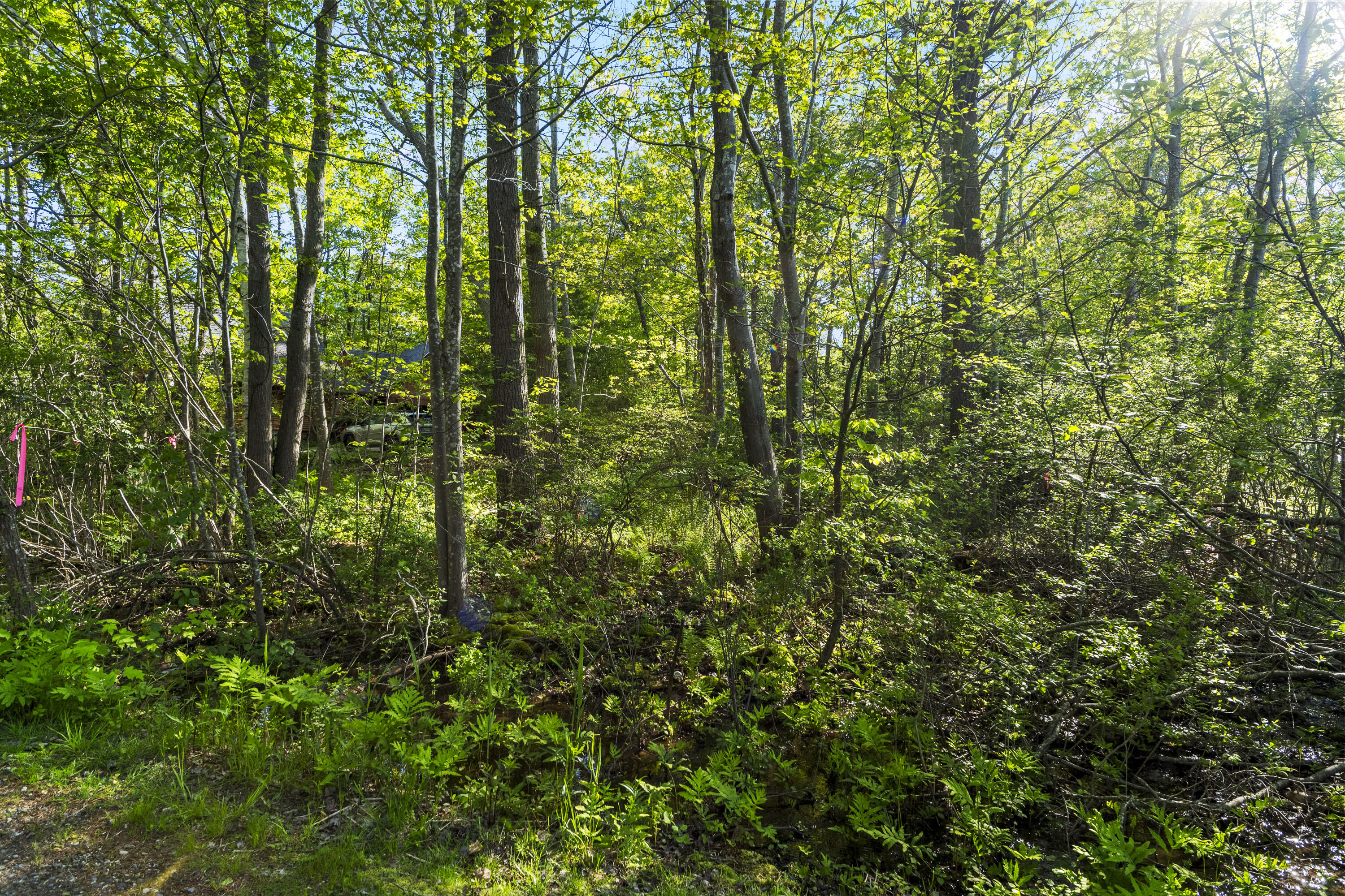 7 Intervale Road York, ME 03902 - Photo 9 of 19 7 Intervale Rd, Cape Neddick