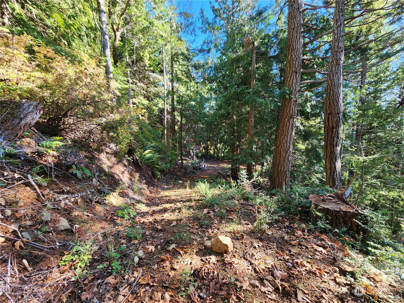 111 Yashi Road Brinnon, WA 98320 - Photo 2 of 5 Gallery Image 2