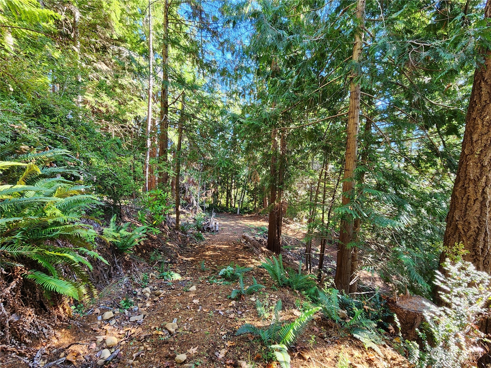 111 Yashi Road Brinnon, WA 98320 - Photo 3 of 5 Gallery Image 3