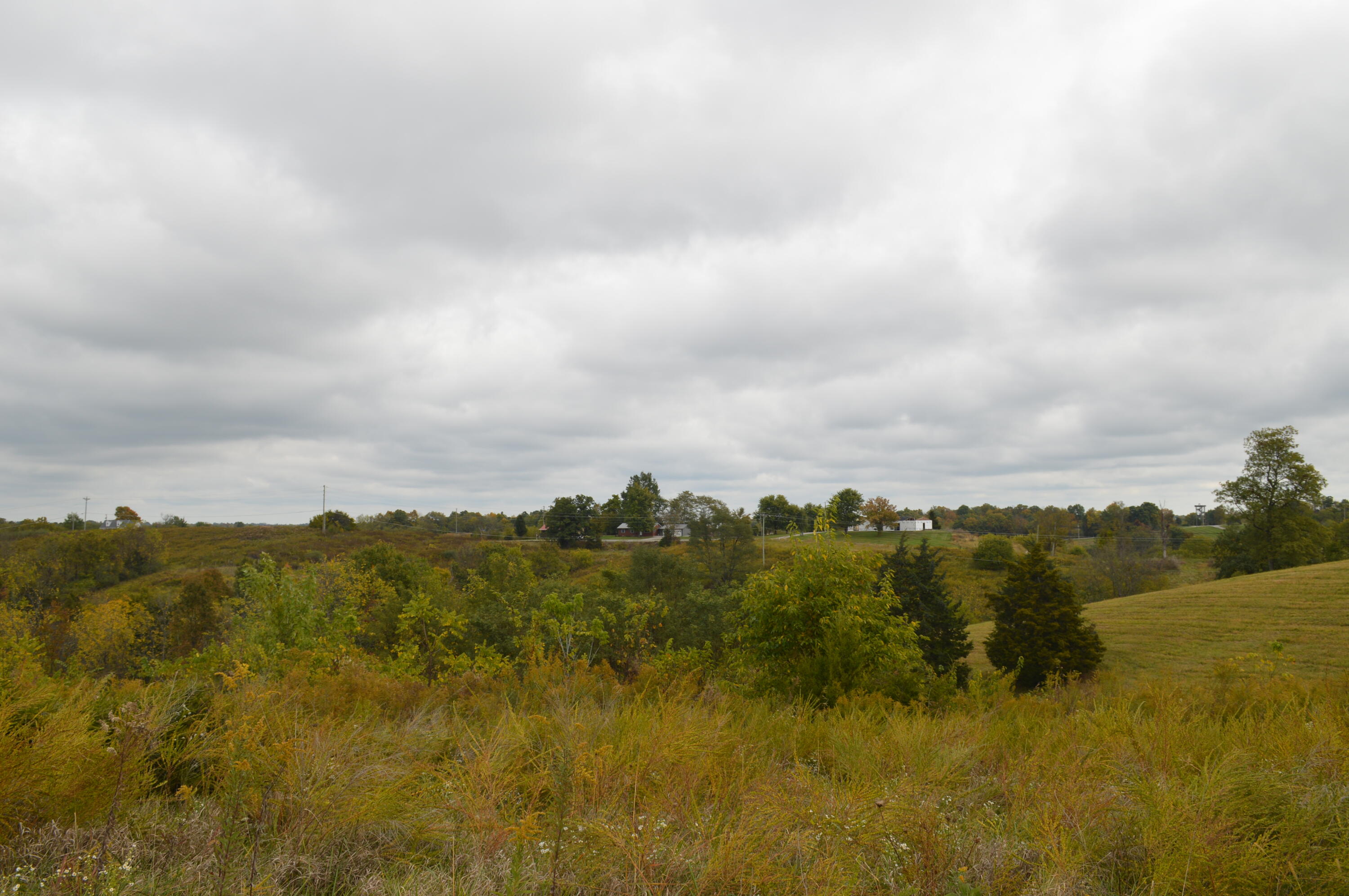Lot #6 Georgetown Road Owenton, KY 40359 - Photo 21 of 24