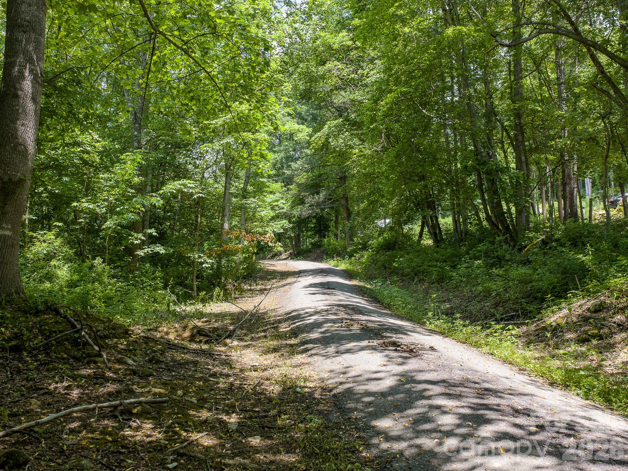 0 Sallys Branch Road Clyde, NC 28721 - Photo 16 of 22