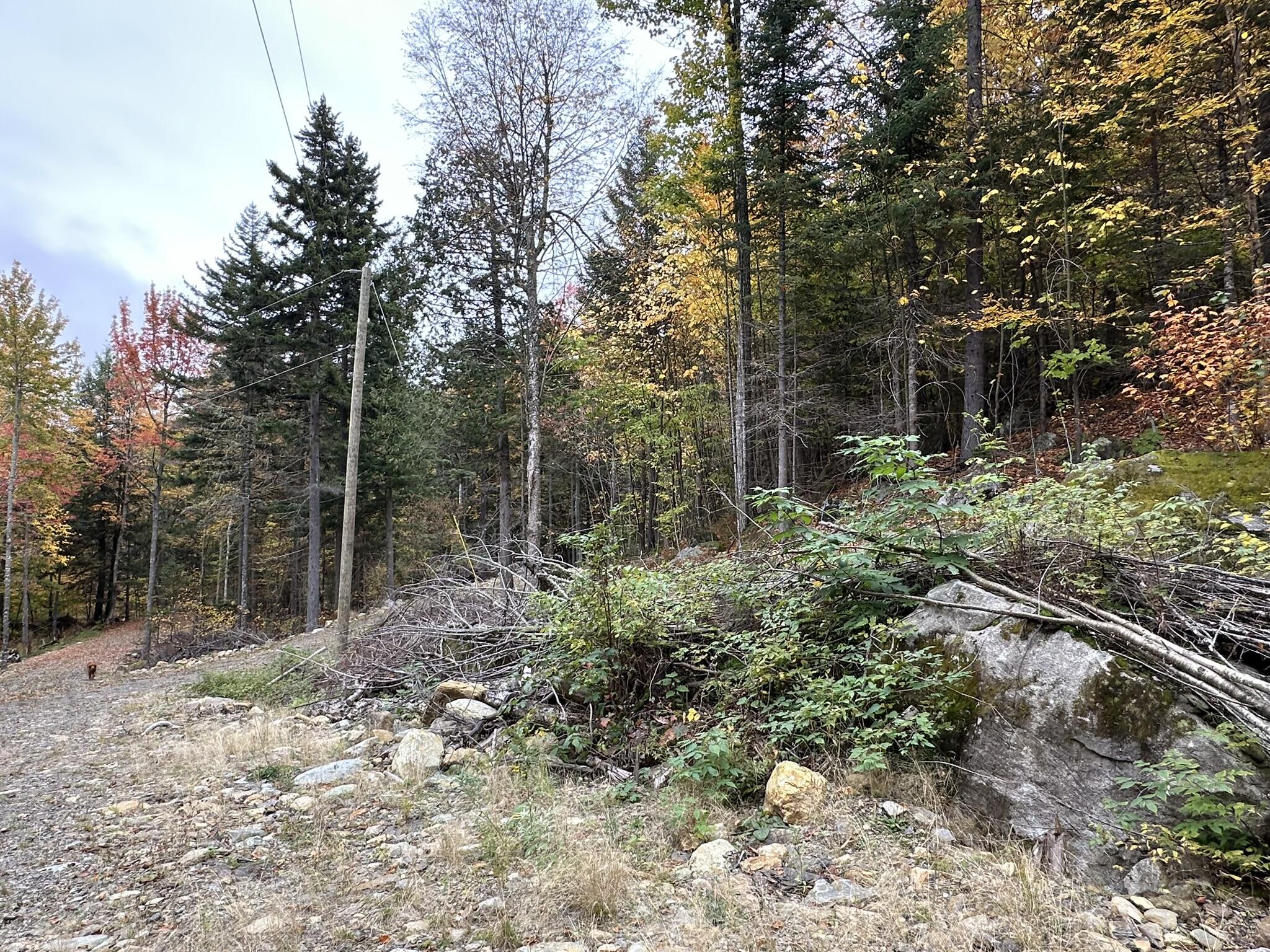 Lot #b-1 Mountain Road Stratton, ME 04982 - Photo 18 of 22 IMG_2672