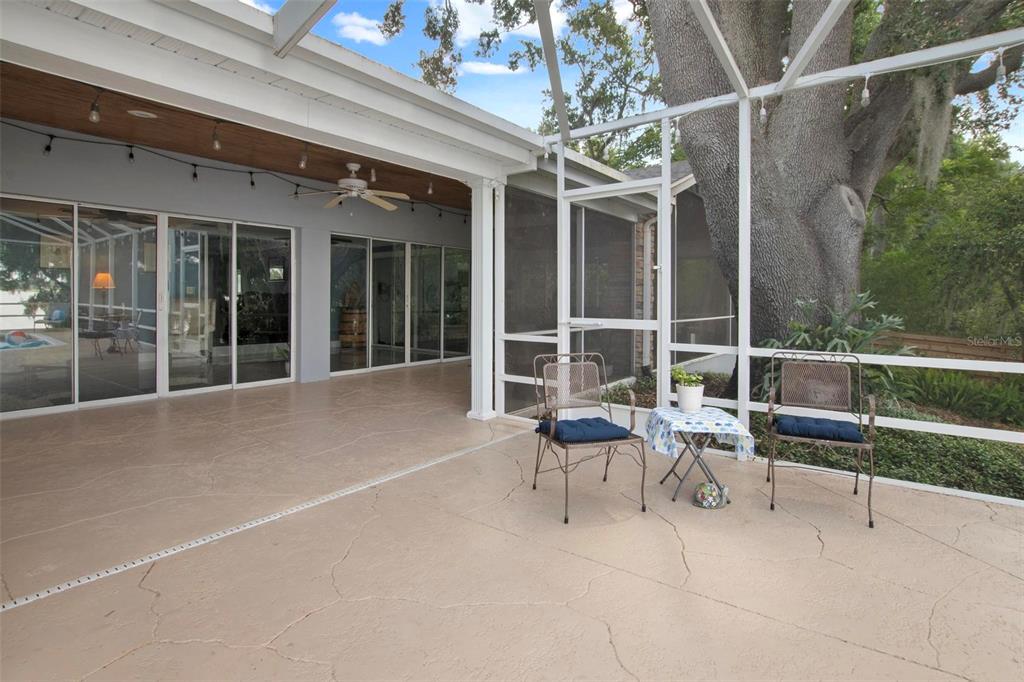 250 Brigham Road Northwest Winter Haven, FL 33881 - Photo 47 of 65 a view of a patio with table and chairs and potted plants