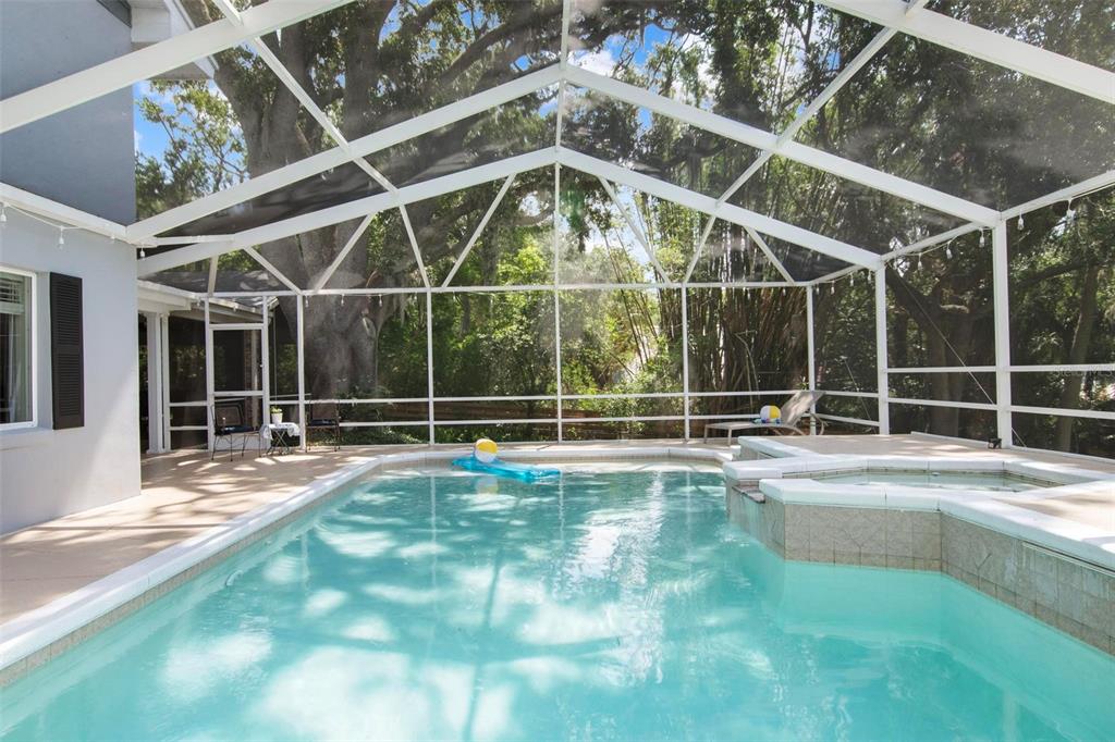 250 Brigham Road Northwest Winter Haven, FL 33881 - Photo 51 of 65 a view of a backyard with a swimming pool