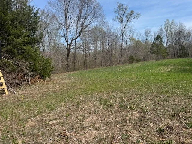 a view of a field with trees