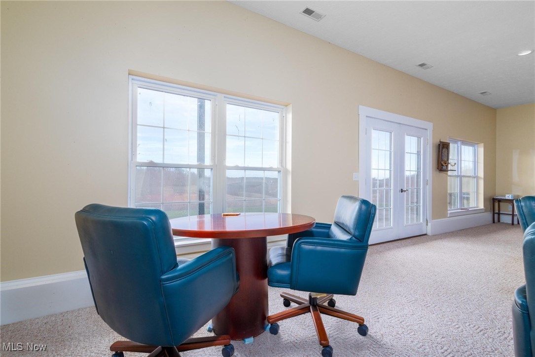 35955-35959 Bower Road Scio, OH 43988 - Photo 26 of 50 Home office with light carpet, plenty of natural light, and french doors