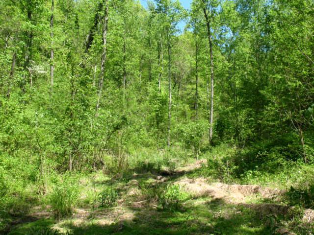 0 Hogfoot Road Liberty, TN 37095 - Photo 11 of 18