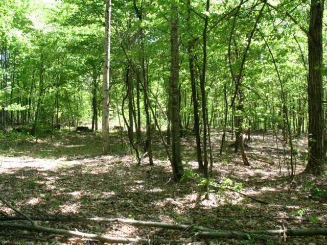 0 Hogfoot Road Liberty, TN 37095 - Photo 18 of 18