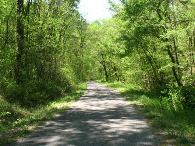 0 Hogfoot Road Liberty, TN 37095 - Photo 9 of 18