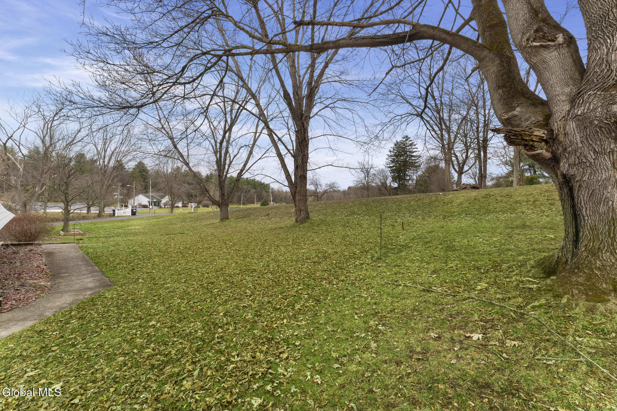 1 Keyes Lane Brunswick, NY 12180 - Photo 26 of 28 Yard 4