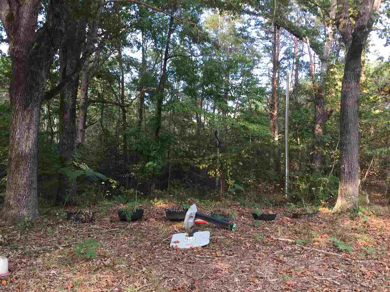 1230 Mason Road Chesnee, SC 29323 - Photo 14 of 23