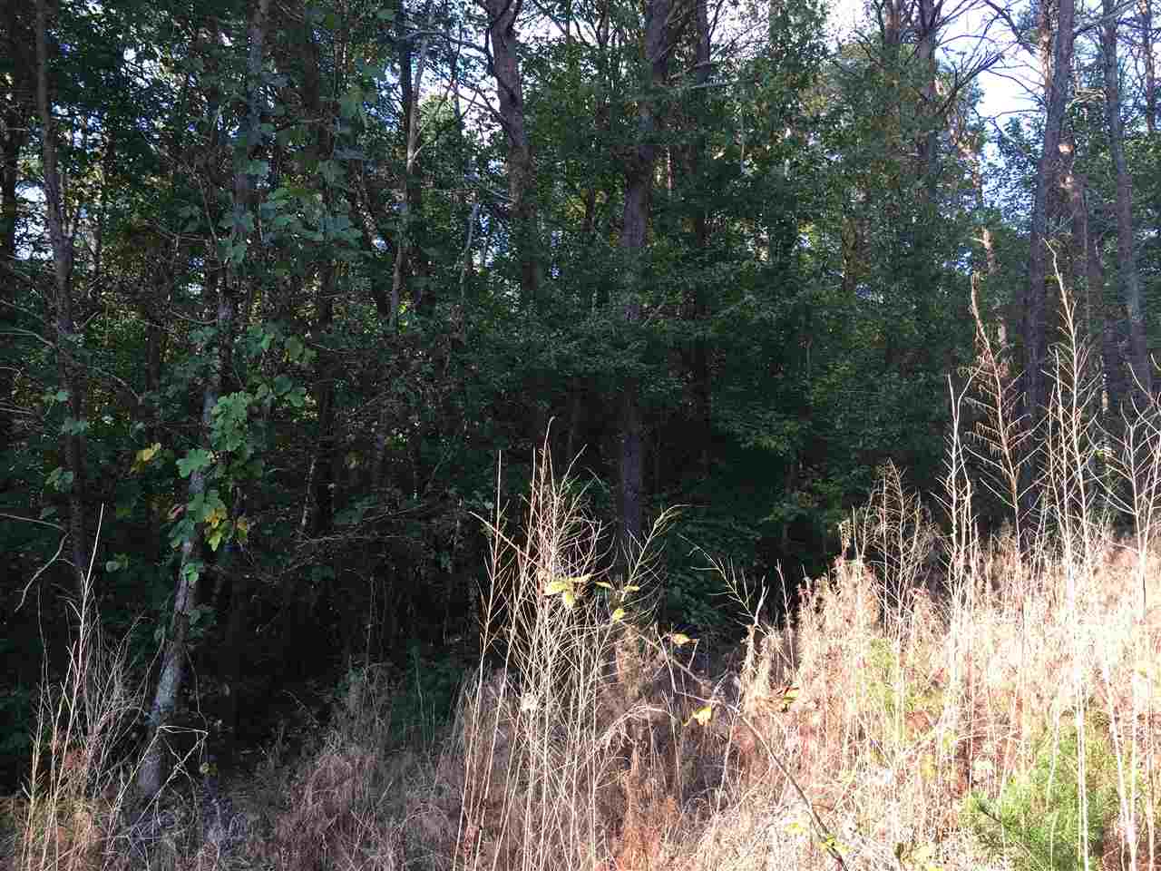 1230 Mason Road Chesnee, SC 29323 - Photo 19 of 23