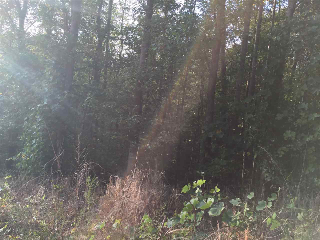 1230 Mason Road Chesnee, SC 29323 - Photo 20 of 23