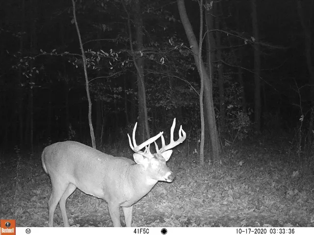 $1,324,900 | 20695 English Hollow Road, Blanchardville, WI 53516