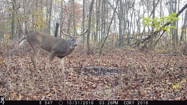 $1,324,900 | 20695 English Hollow Road, Blanchardville, WI 53516