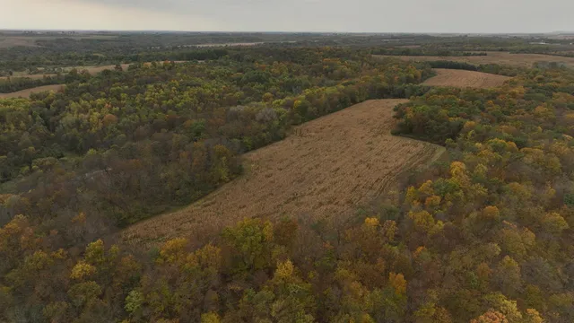 $1,324,900 | 20695 English Hollow Road, Blanchardville, WI 53516