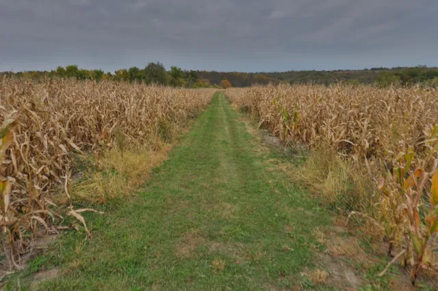 $1,324,900 | 20695 English Hollow Road, Blanchardville, WI 53516