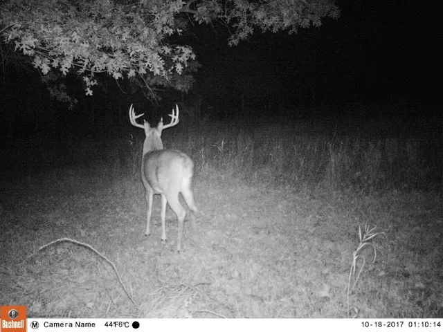 $1,324,900 | 20695 English Hollow Road, Blanchardville, WI 53516