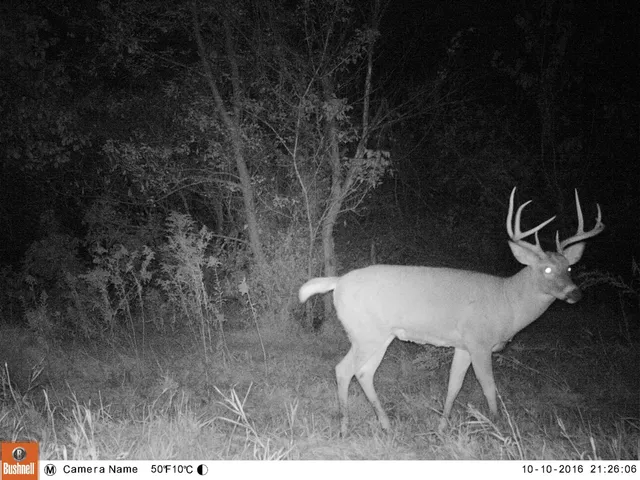 $1,324,900 | 20695 English Hollow Road, Blanchardville, WI 53516