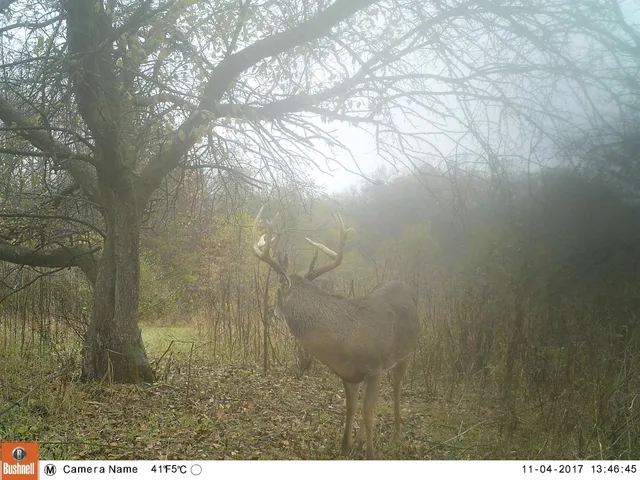 $1,324,900 | 20695 English Hollow Road, Blanchardville, WI 53516