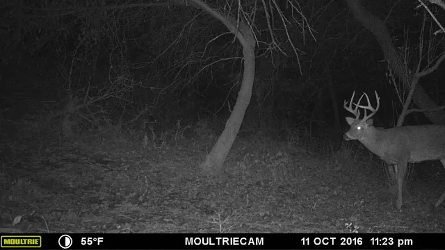 $1,324,900 | 20695 English Hollow Road, Blanchardville, WI 53516