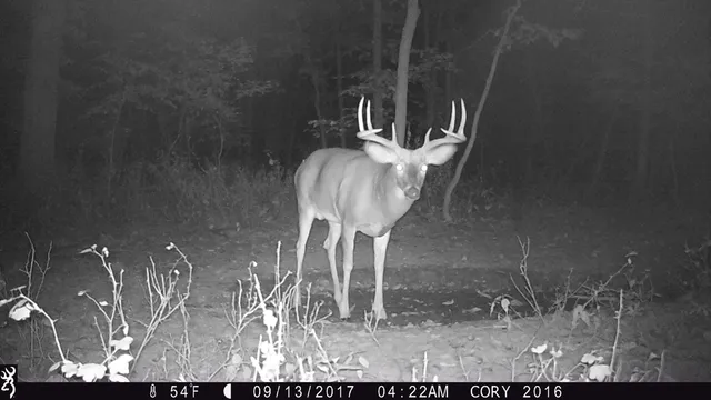 $1,324,900 | 20695 English Hollow Road, Blanchardville, WI 53516